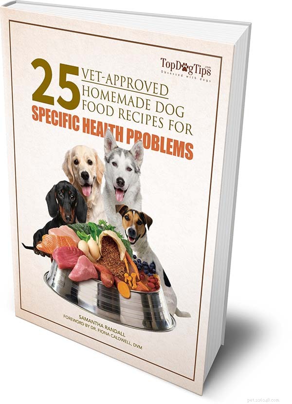 eBook:25 door dierenartsen goedgekeurde zelfgemaakte hondenvoerrecepten