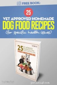 электронная книга:25 одобренных ветеринарами рецептов домашнего корма для собак