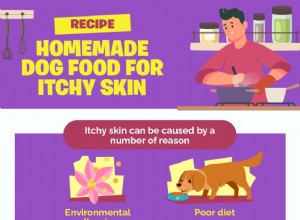 Recette :Nourriture maison pour chien contre les démangeaisons de la peau