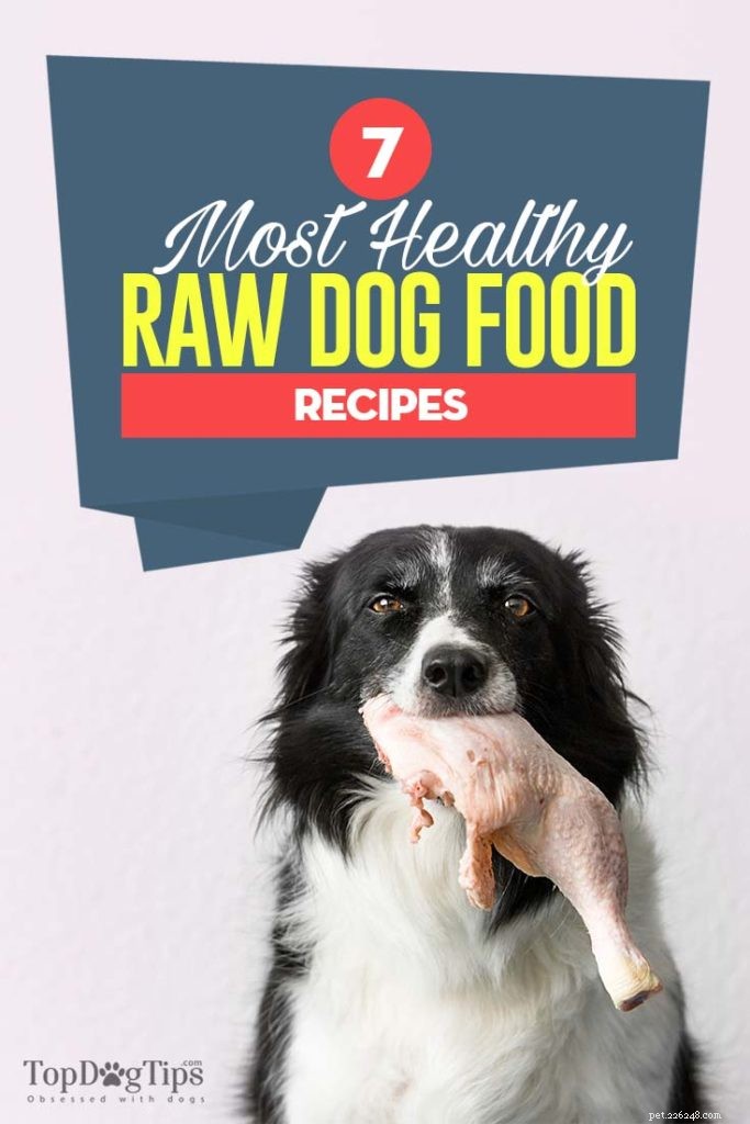 7 bästa recept på rå hundfoder