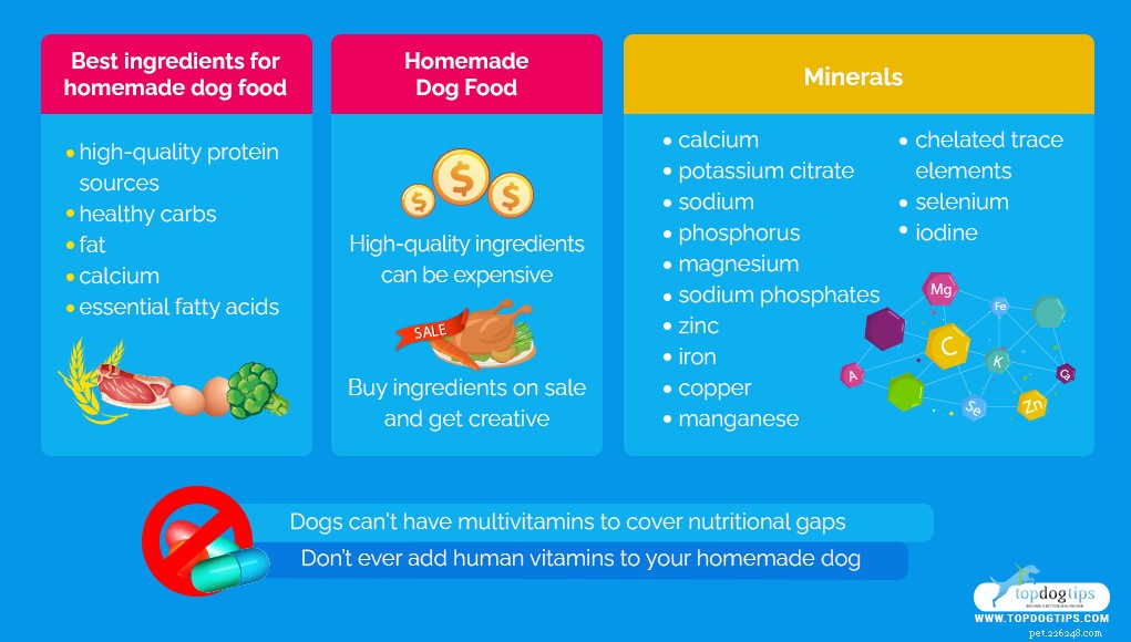 Os suplementos para cães para refeições caseiras para cães que você precisa