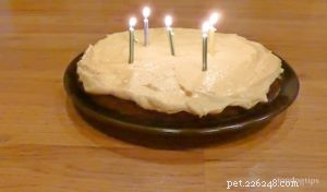 Receita caseira de bolo de aniversário saudável para cachorro