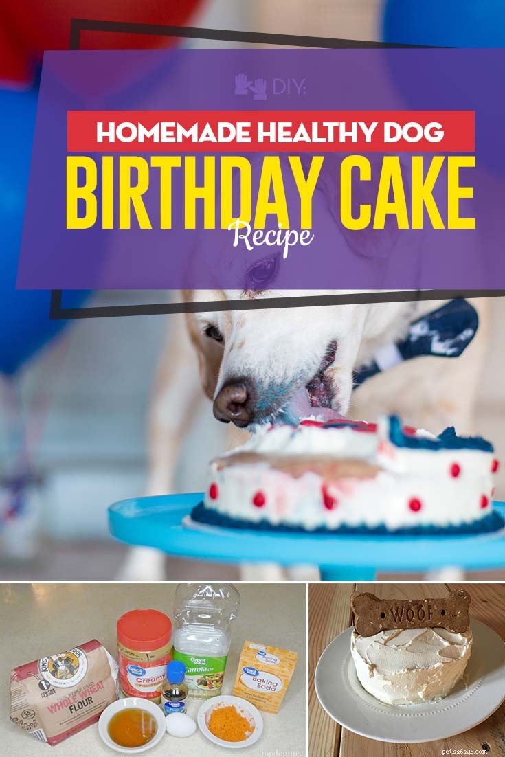 Receita caseira de bolo de aniversário saudável para cachorro