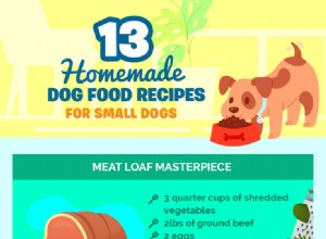 소형견을 위한 13가지 수제 개밥 요리법