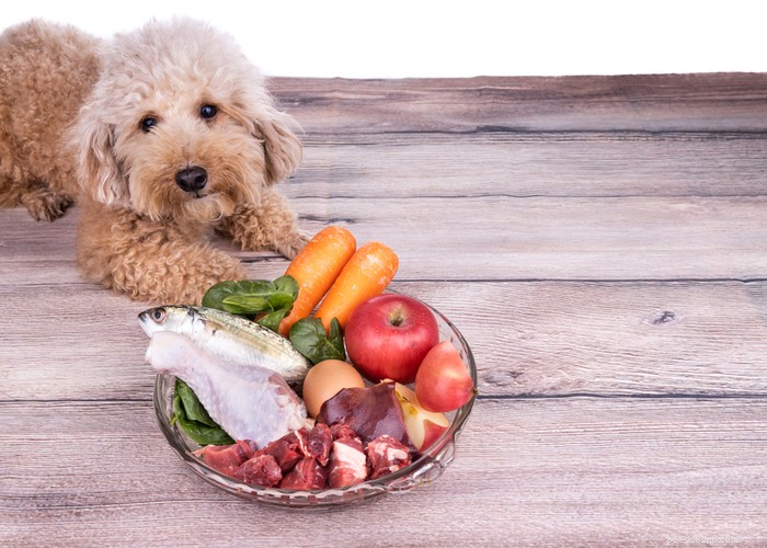 Recettes diététiques maison faciles pour chiens crus