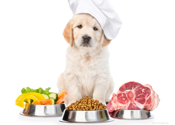 Простые домашние рецепты сырой диетической еды для собак
