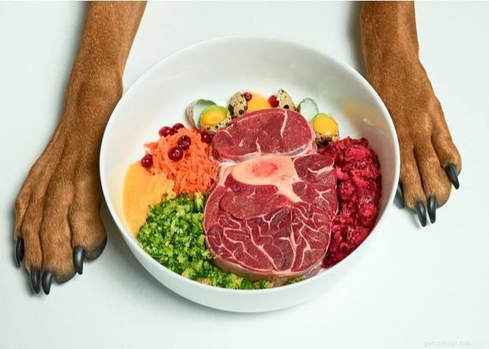 Zelfgemaakte, gemakkelijke dieetrecepten voor rauw hondenvoer