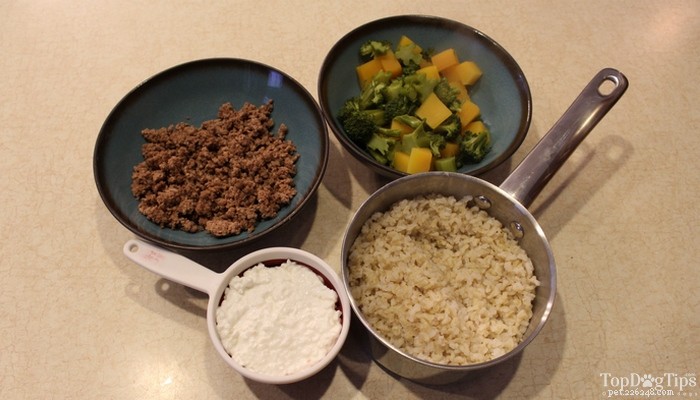조리법:집에서 만든 저지방 개밥