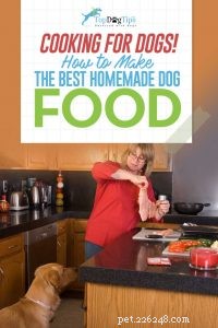 Como fazer comida caseira para cachorro:um guia de vídeo instrutivo