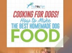 Como fazer comida caseira para cachorro:um guia de vídeo instrutivo