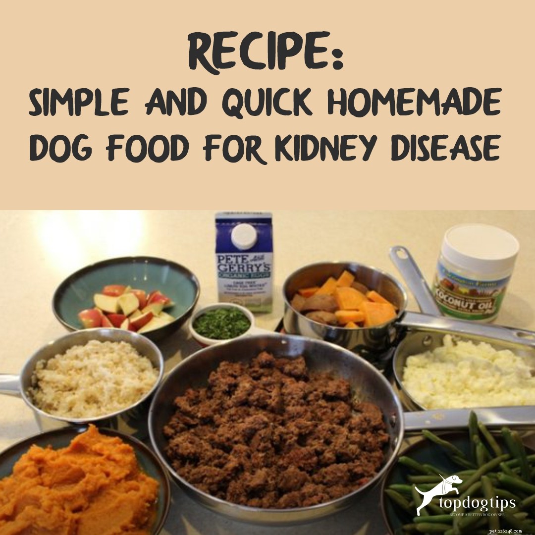 Recept:eenvoudig en snel zelfgemaakt hondenvoer voor nierziekte