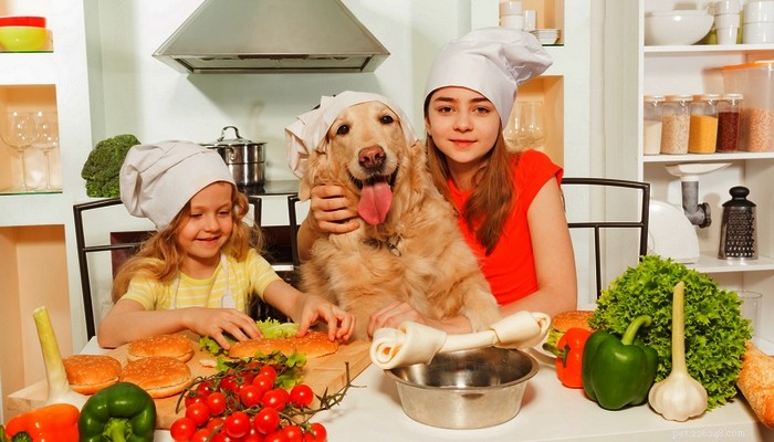 Come fare il cibo per cani fatto in casa:una guida video istruttiva