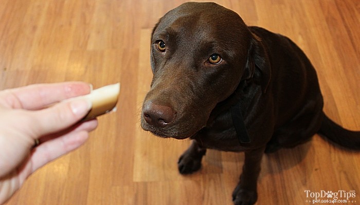 Recette maison de gâteries anti-puces pour chiens