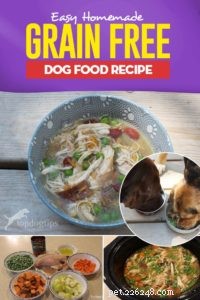 Recept na domácí krmivo pro psy bez obilovin