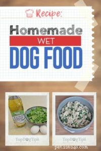 Recette :Nourriture humide pour chiens faite maison 