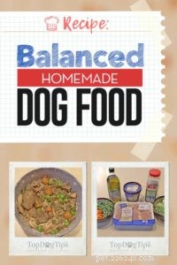레시피:균형 잡힌 수제 개밥