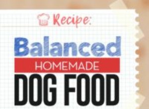 Recette :Nourriture maison équilibrée pour chiens