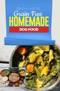 Recette :Nourriture maison pour chien sans céréales