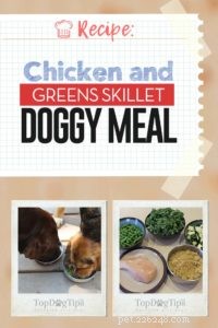 Recette :Nourriture maison pour chiens à la poêle au poulet et aux légumes verts