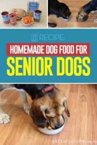 Ricetta:cibo fatto in casa per cani anziani