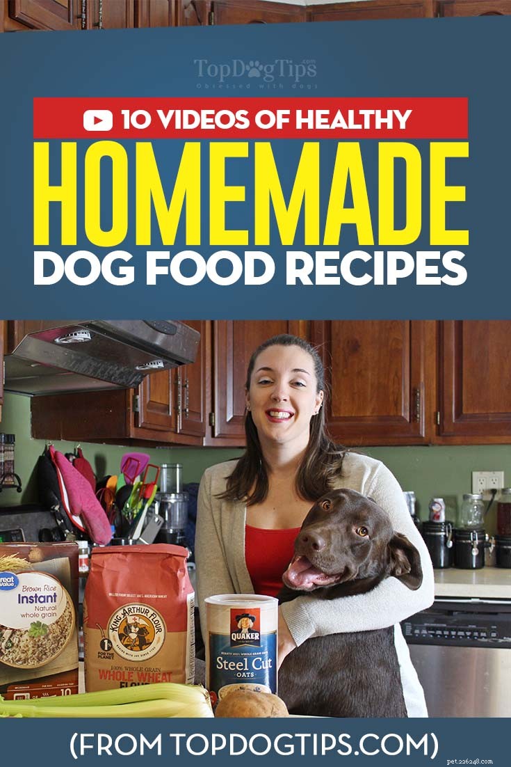 10 vídeos populares de receitas caseiras de comida para cães