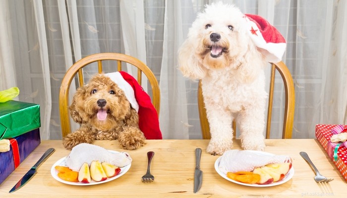 18自家製犬のクリスマスディナーレシピ 