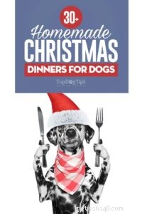 18개의 집에서 만드는 강아지 크리스마스 저녁 식사 요리법