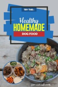Ricetta:cibo per cani sano fatto in casa