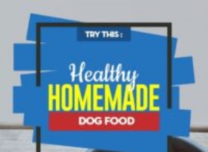 Receita:comida caseira saudável para cães