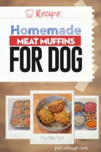 레시피:개를 위한 수제 고기 머핀