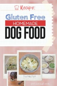 Recept:Domácí bezlepkové krmivo pro psy
