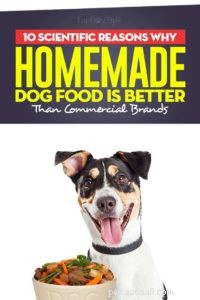 10 wetenschappelijke redenen waarom zelfgemaakte hondenvoeding beter is dan commercieel voedsel