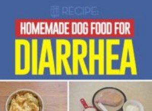 Recette :Nourriture maison pour chiens contre la diarrhée