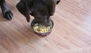 Recept:zelfgemaakt hondenvoer tegen diarree