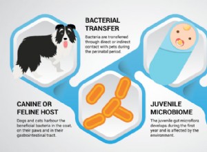 애완동물 소유로 어린이의 알레르기와 비만 감소