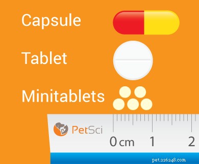 Minitablets para gatos configurados para facilitar a medicação