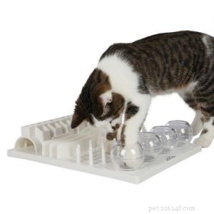 고양이 먹이 퍼즐은 고양이의 건강과 웰빙을 향상시킵니다