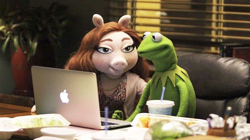 Frog Romance est devenu un peu plus intéressant