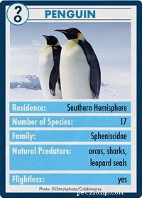 Qual ​​é a diferença entre um pinguim e um papagaio-do-mar?