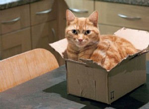 Se eu me encaixar, eu sento:a ciência por trás dos gatos sentados em quadrados