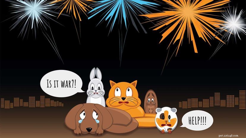 Come consolare il tuo cane durante i fuochi d artificio