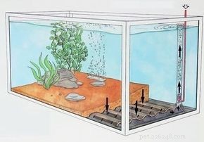 Aquariumuitrusting kiezen
