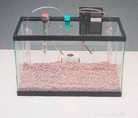 Como montar um aquário