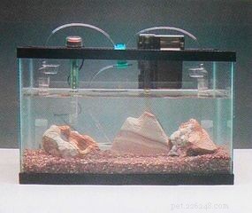 Comment installer un aquarium