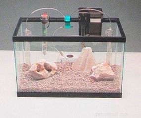 Como montar um aquário
