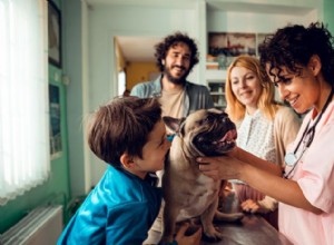 8 saker att veta innan du köper en husdjursförsäkring
