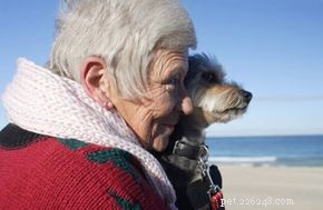 Kan äga ett husdjur hjälpa dig att leva längre?