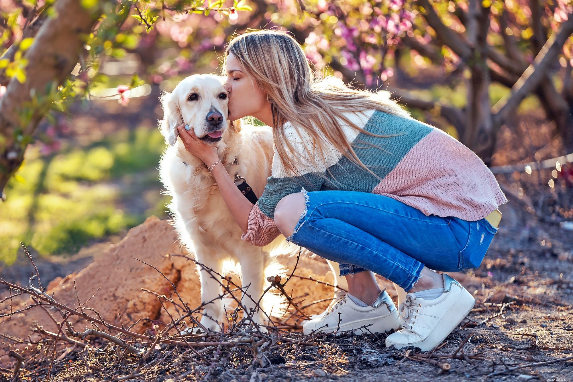 100 lentehondennamen voor je heldere en vrolijke hond