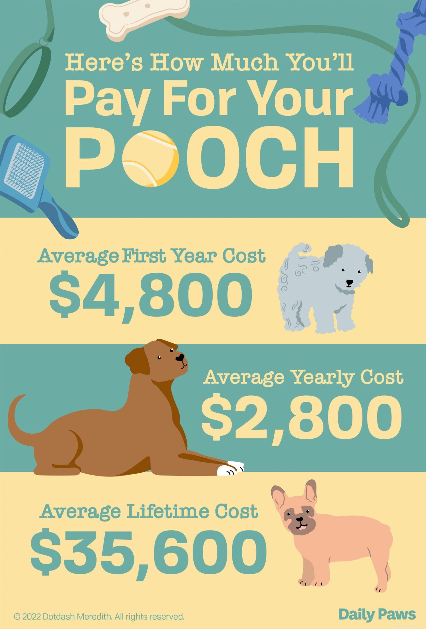 Quanto custa um filhote de cachorro? Tudo o que você precisa para fazer um orçamento durante o primeiro ano do seu filhote