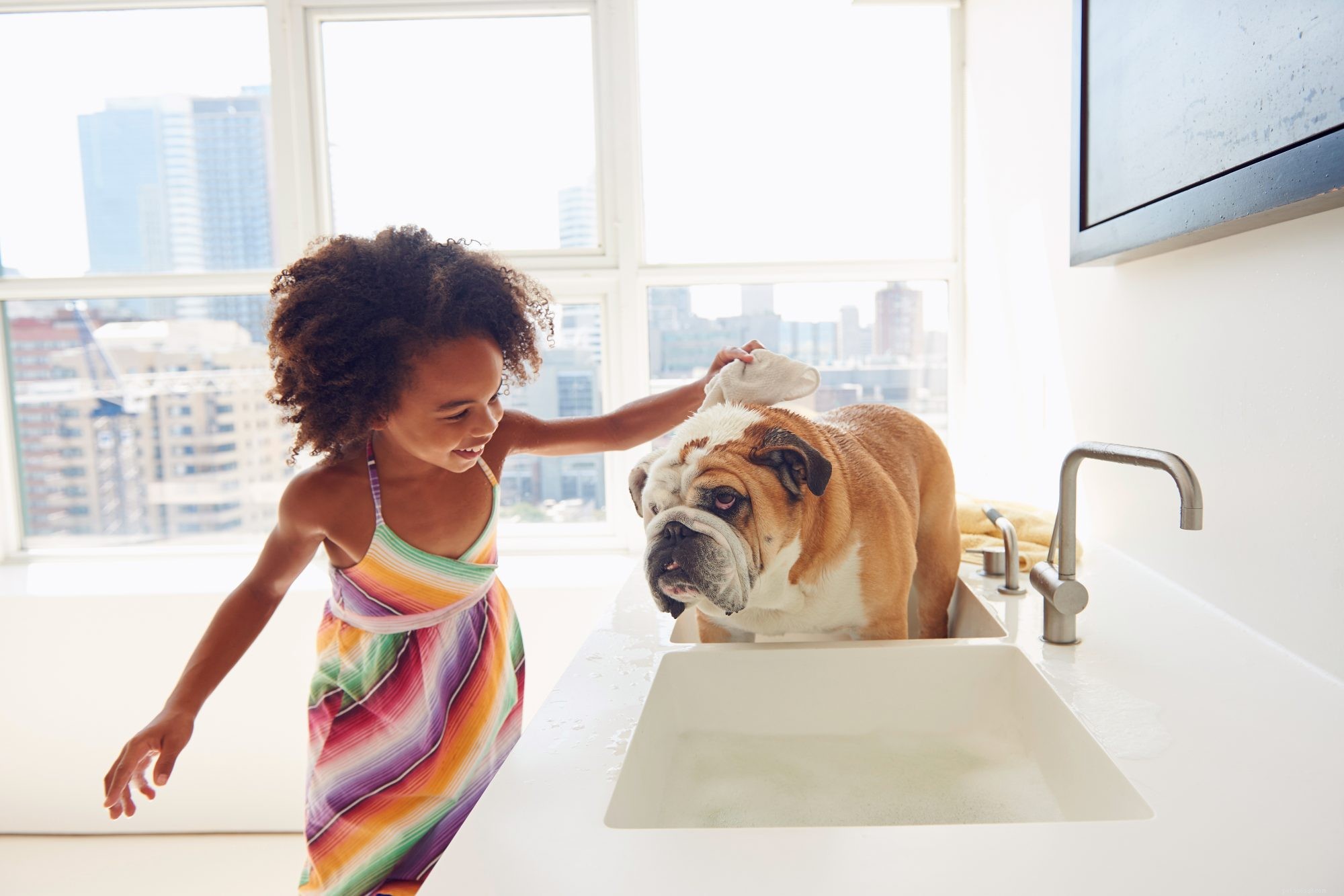 Le savon à vaisselle Dawn est-il sans danger pour les chiens ?